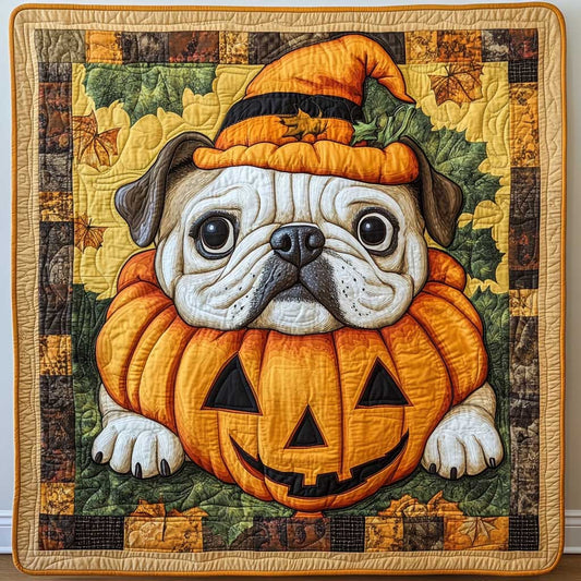 Bulldog Hocus WN2609066CL Quilt