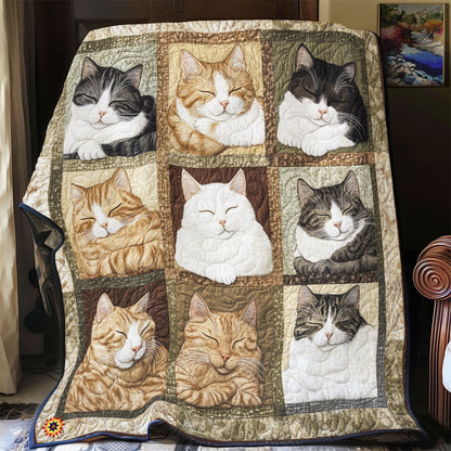 Cat Sleeping YR2412024CL Quilt