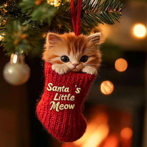 Frosty The Furball WJ1110061CL Ornament