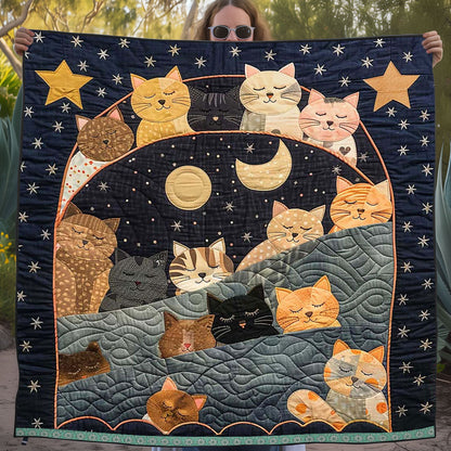 Sleeping Cat Over The Moon WJ1608021CL Quilt