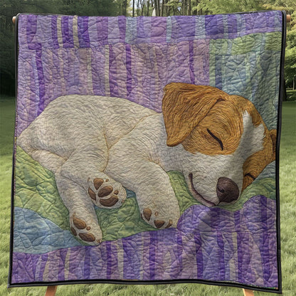 Sleeping Puppy WJ0708032CL Quilt